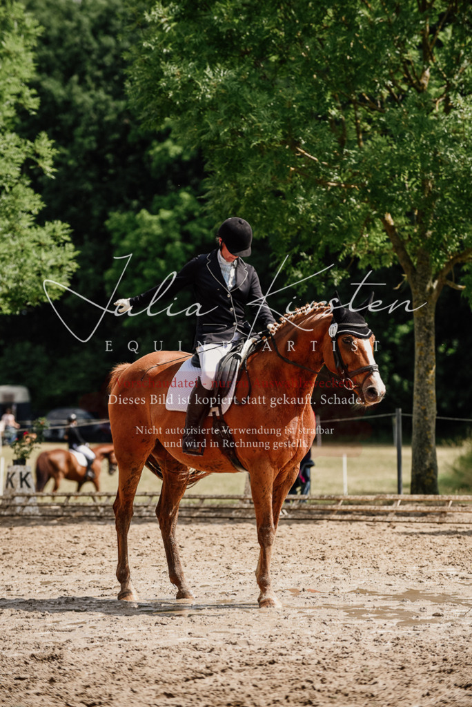 DSC_0660 | Pferde- und Turnierfotografie in Westsachsen. Pferdeportraits, Auftragszeichnungen und intuitive Kunst.