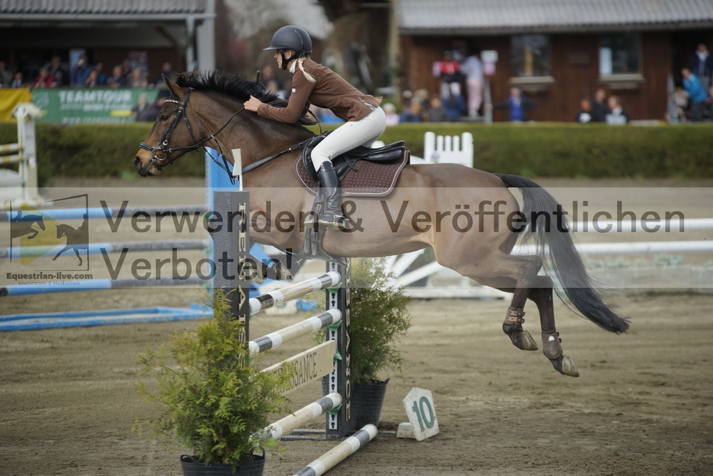 _DSC7882 | equestrian-live-com