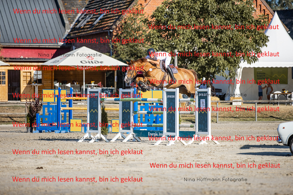 BK1A8707 | Turnierbilder Turnierfotos Nina Hüffmann Turnierfotografie Pferdefotografie Tierzeichnung Haustierzeichnung Pferdezeichnung Hundezeichnung Videograf  - Realisiert mit Pictrs.com
