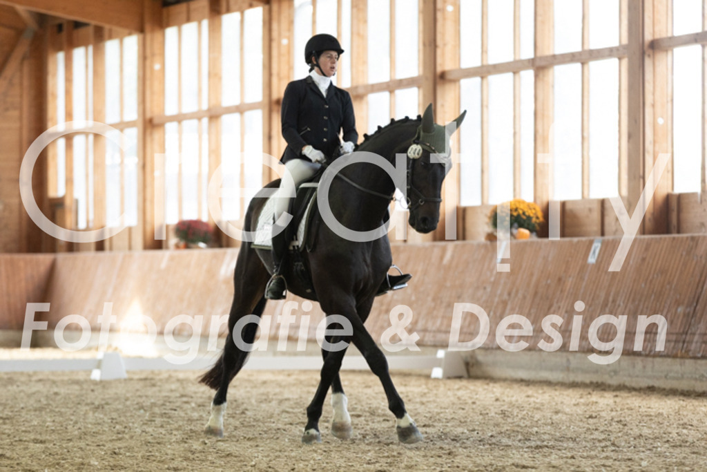 IMG_3251 | Creatify Fotografie