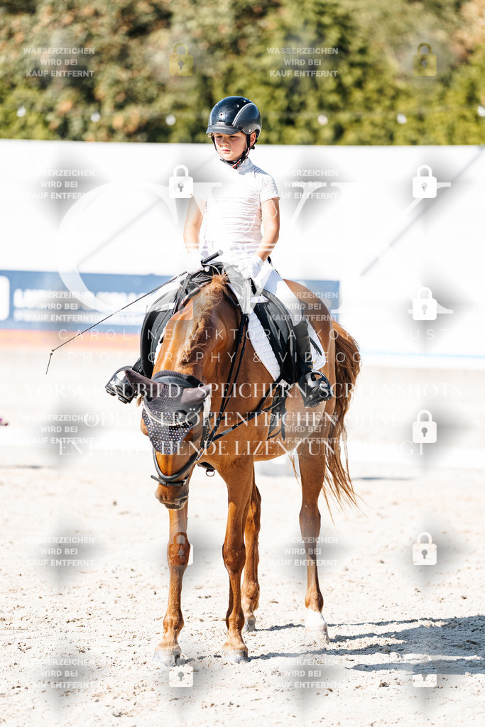 CK903342 | Turnierfotografie Pferdefotografie Trier Rheinland-Pfalz Pferdesport Reitsport Tierfotografie Sportfotografie Pferdevideo Pferdevideografie Equestrianvideography equestrianphotography  - Realisiert mit Pictrs.com