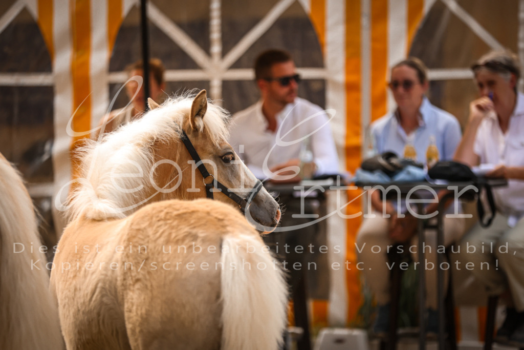 06.So00059 | Leoni Ertmer Photography - Realisiert mit Pictrs.com