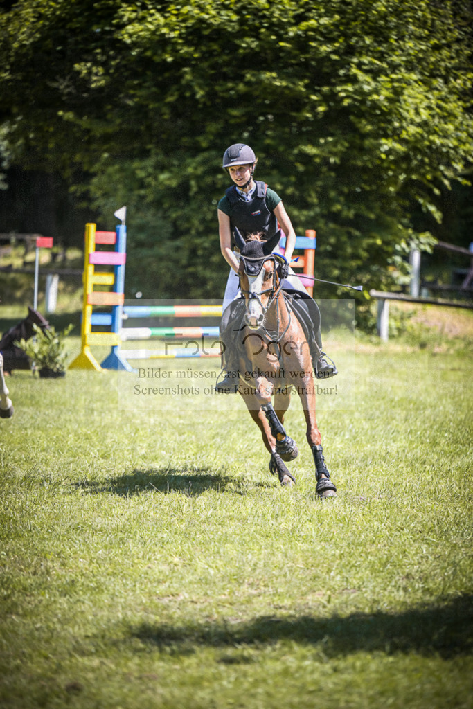 DOS_7784 | Entdecke hochwertige Reitturnierfotos von Foto Oger. Professionell, emotional und authentisch – jetzt Lieblingsmomente im Shop bestellen.Deutschlandweite Turnierfotografie. - Realisiert mit Pictrs.com