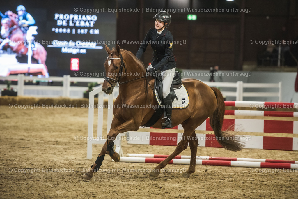 20240302_Hengstvorstellung_Marbach_TOMsPiC_1362 | equistock