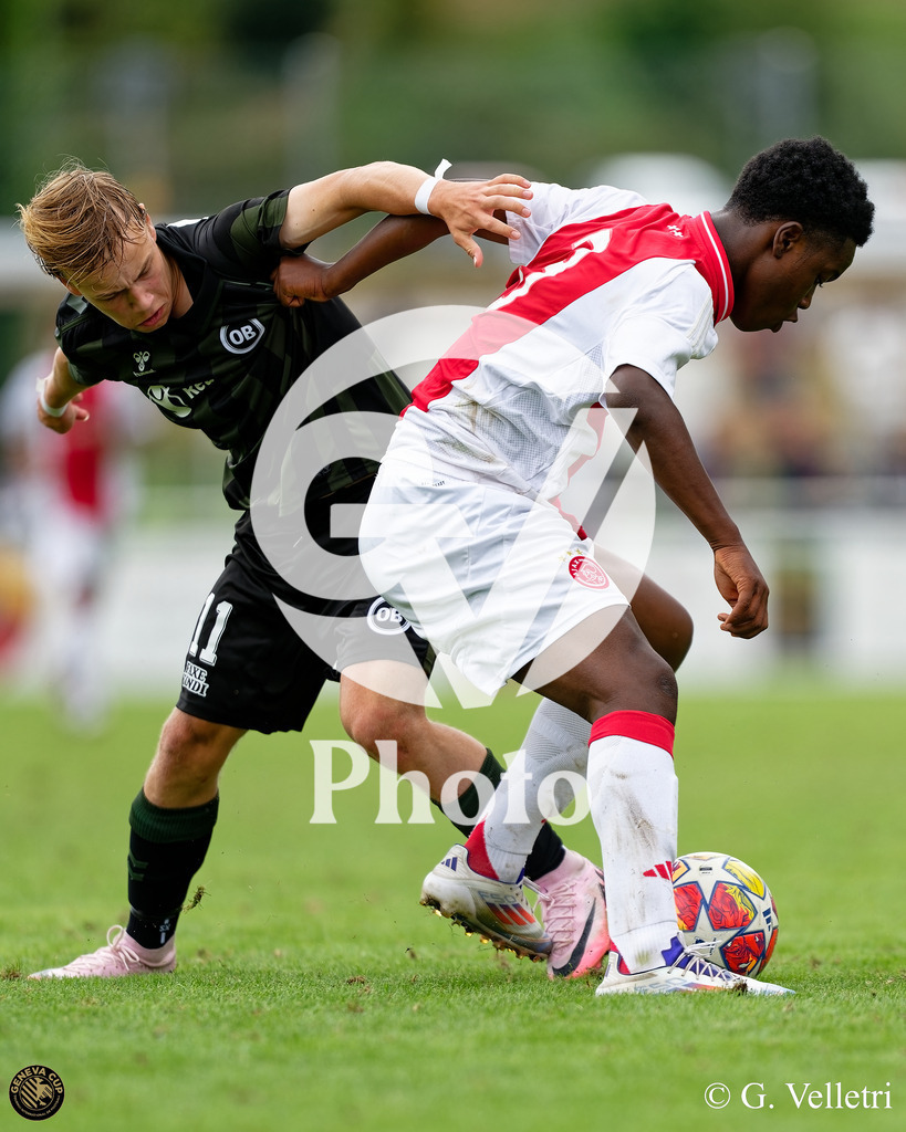 DZ9_0848 | Velletri Photo