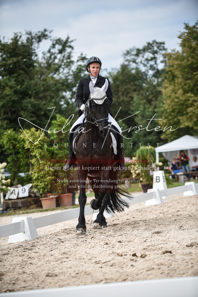 DSC_8657 | Pferde- und Turnierfotografie in Westsachsen. Pferdeportraits, Auftragszeichnungen und intuitive Kunst.