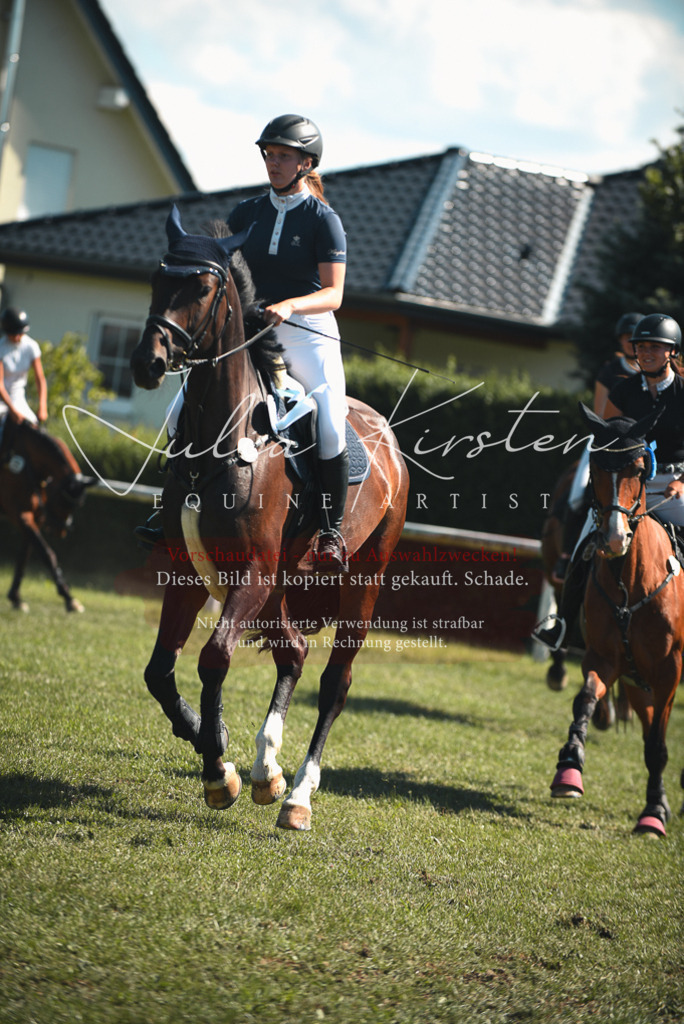 DSC_7343 | Pferde- und Turnierfotografie in Westsachsen. Pferdeportraits, Auftragszeichnungen und intuitive Kunst.