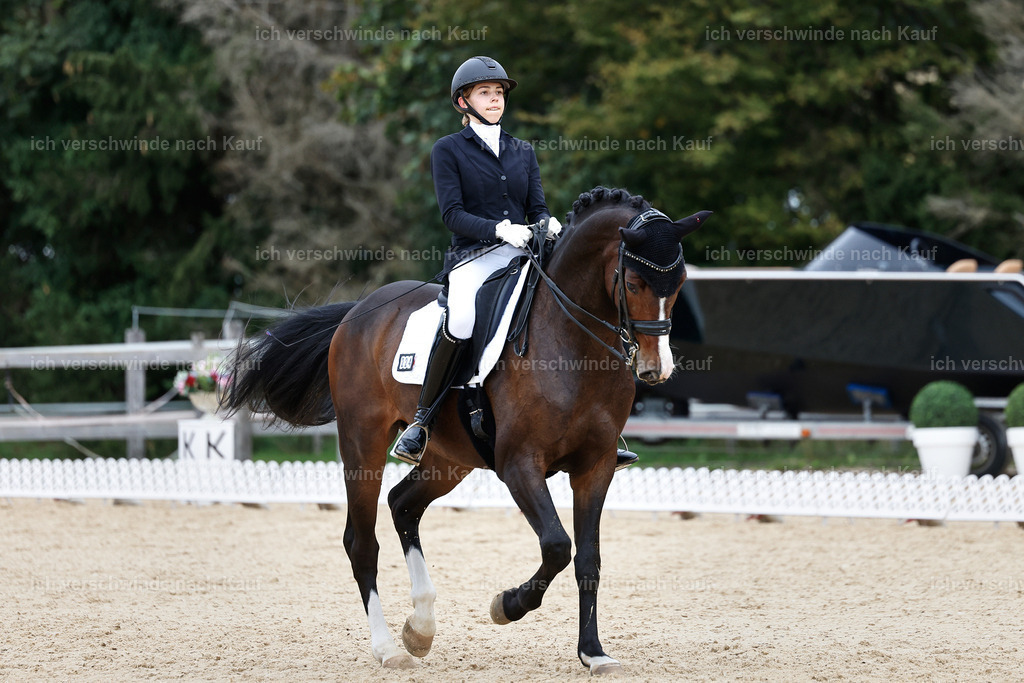 3-224-Dressur M_-StoibPH-2539 | working equitationturnier fotograf videograf stoibphotography marixx film working equitation deutschland reitsport turnierfotografie eventfotografie equestrian events