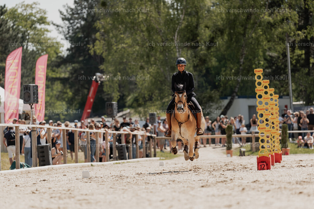 WE_SP_Stoib_308_PI2025_1636 | Pferd International München 2025