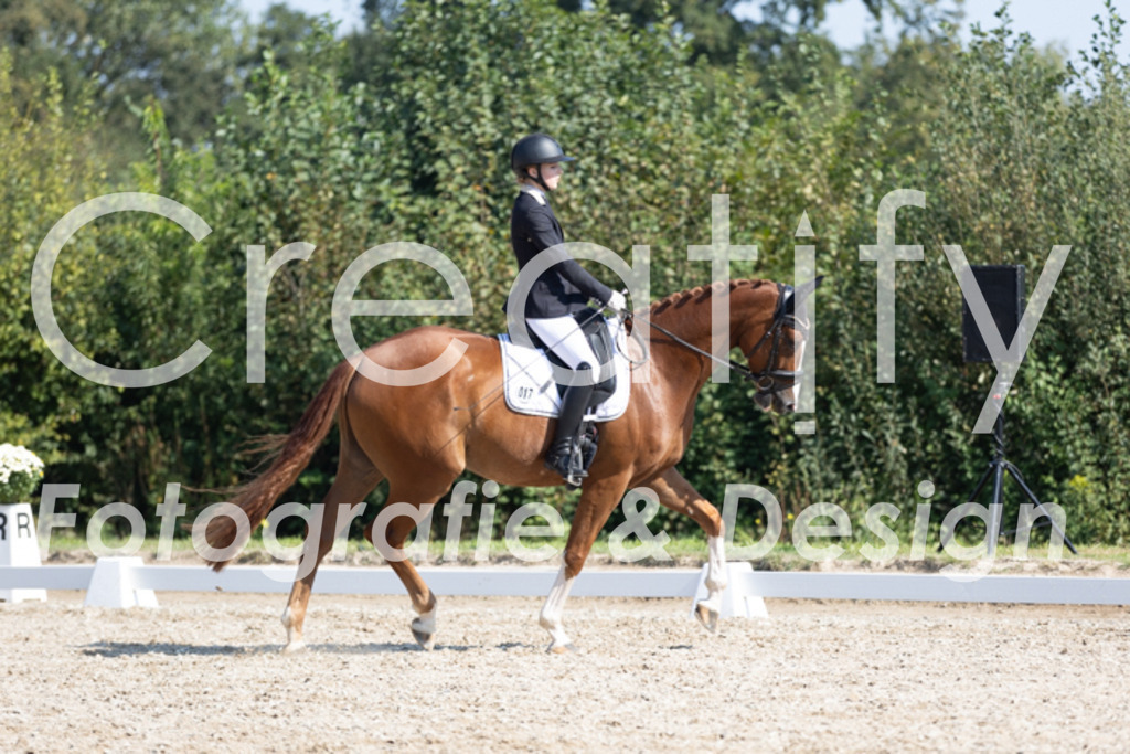 IMG_4345 | Creatify Fotografie