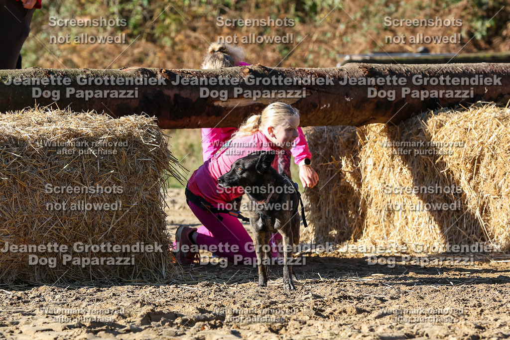 Dog Paparazzi - Strongdog 10-25-2112 | Dog Paparazzi Jeanette Grottendiek Fotografie & Videografie - Realisiert mit Pictrs.com