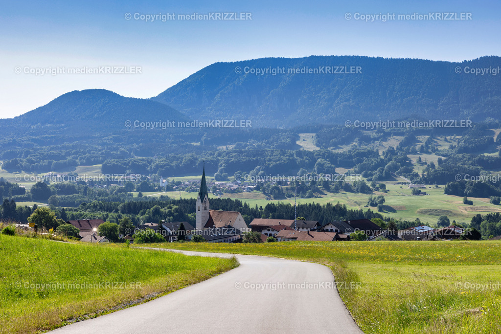Törwang | medienkrizzler - Realisiert mit Pictrs.com