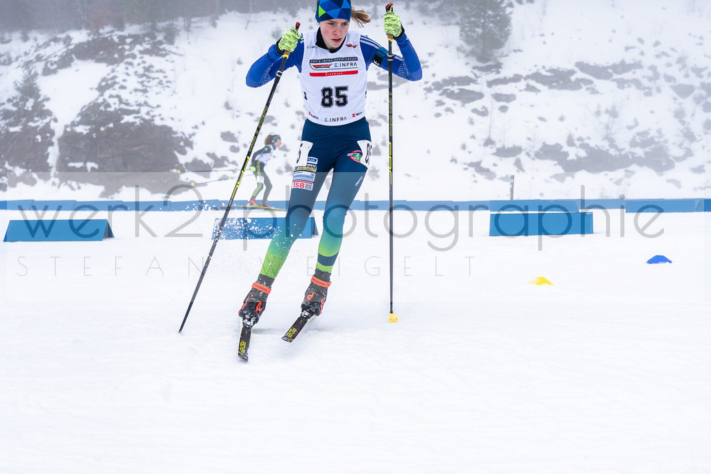 DSC Arber | Bayerischer Wald am 15. und 16. Januar 2022
