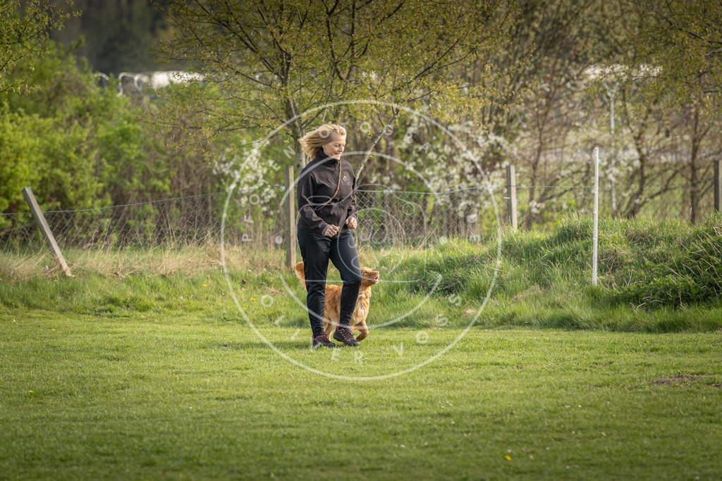 Pfotenfotografie_DV3A4850 | Hundefotografie, Tierfotograf, Pfotenfotografie, Fotoshooting Hund, Hunde Portrait, Hundesport, Hundeportraits, Heideshooting, Hunde, Sportfotograf, Hundefotograf, Turnierhundsport, THS,  - Realisiert mit Pictrs.com