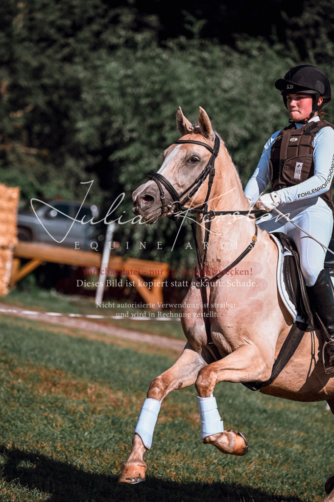 DSC_1138 | Pferde- und Turnierfotografie in Westsachsen. Pferdeportraits, Auftragszeichnungen und intuitive Kunst.