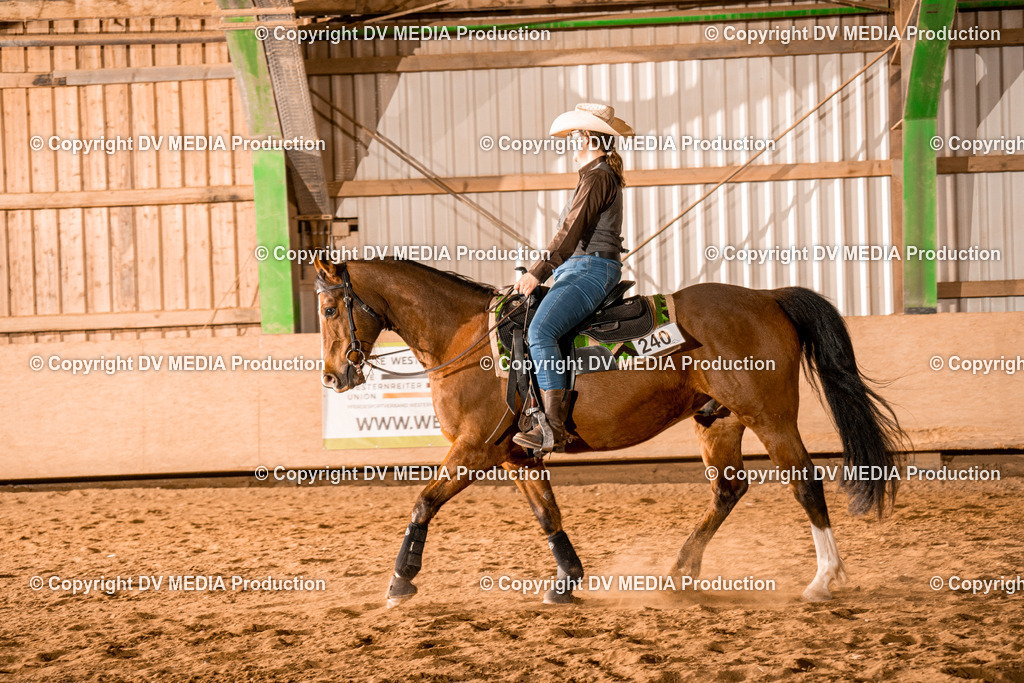 BAL03235 | dv-media-shop - Realisiert mit Pictrs.com