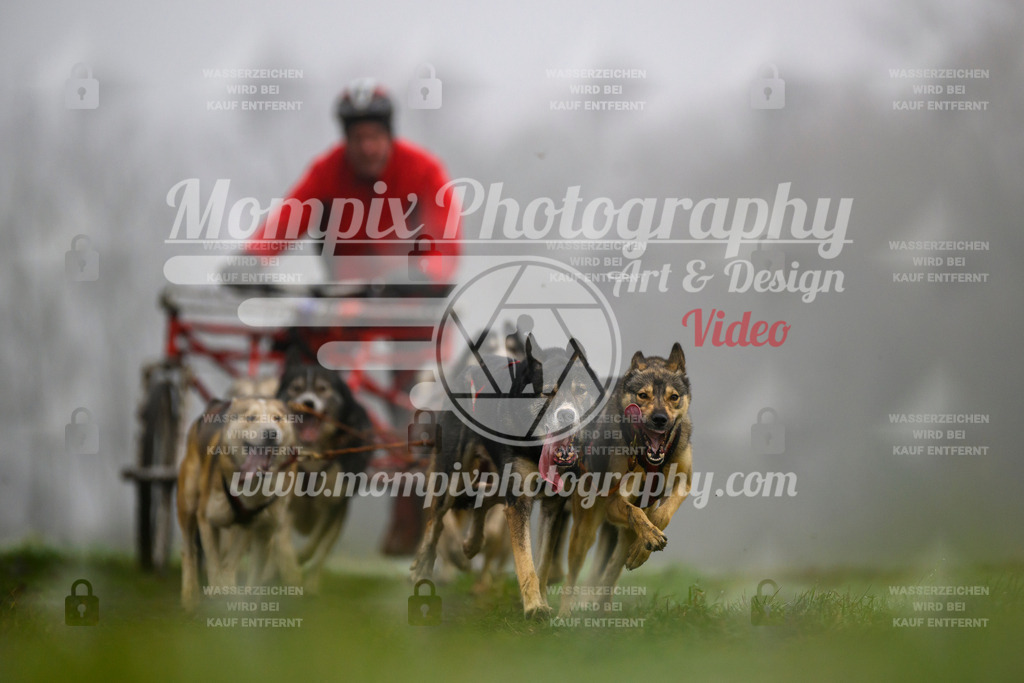 MompixPhotography_CDF2023_FFST_Di_Kart-80 | PayLife