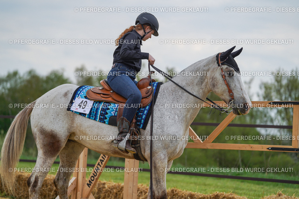 DSC07555 | Pferdegrafie