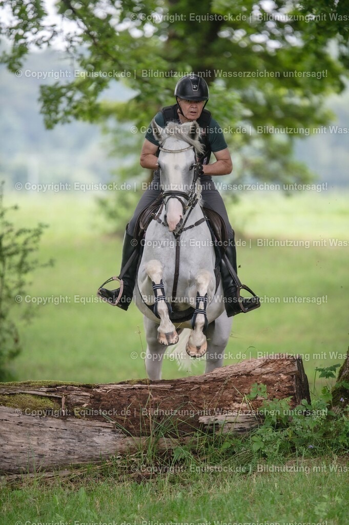 20250726_Vielseitigkeitslehrgang-Marbach_0543 | Foto: Thomas Hartig