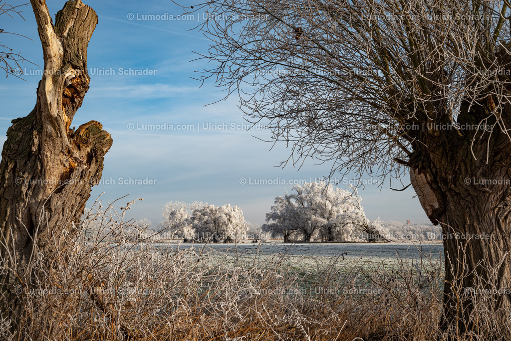 10049-13461 - Winterzauber im Großen Bruch | Stockfoto und Bilderpool mit Bildmaterial aus Deutschland, dem Harz, Halberstadt, Quedlinburg, Wernigerode und weltweit. Qualitativ hochwertige und professionelle Fotos anschauen und kaufen. - Realisiert mit Pictrs.com