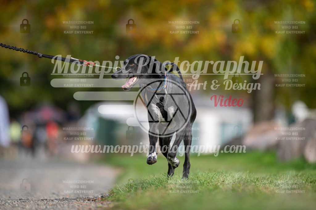 TSB_2023_E2_Bike-72 | PayLife