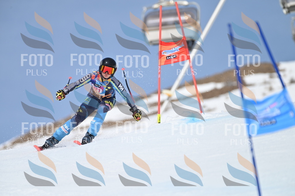 BGV_3108 | holidayphoto