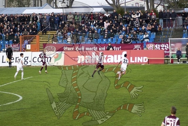 BFC Dynamo vs. Tennis Borussia Berlin 093 | mythos-online-redaktion