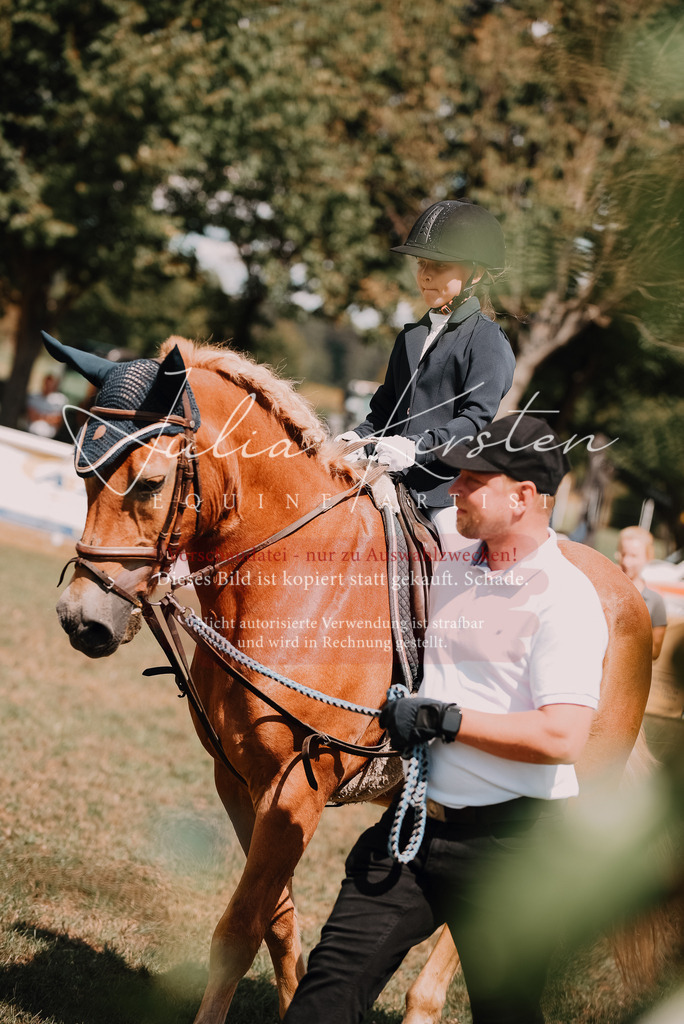 DSC_6200 | Pferde- und Turnierfotografie in Westsachsen. Pferdeportraits, Auftragszeichnungen und intuitive Kunst.
