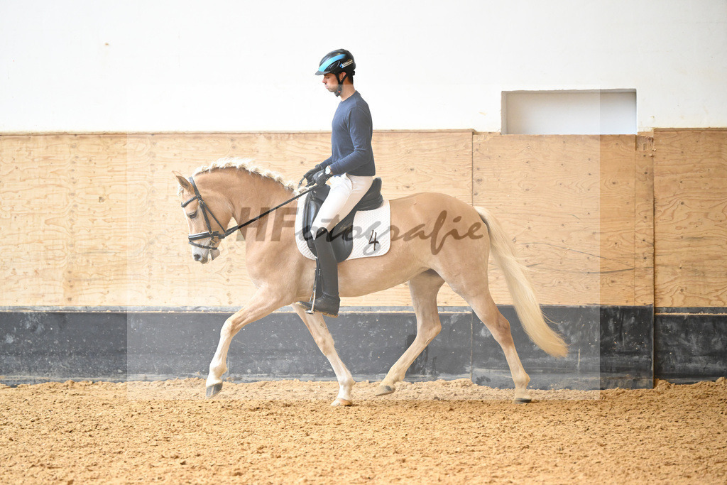 Kat-Nr. 4 Finja_Oswald_6222116 | hf-fotografie - Realisiert mit Pictrs.com