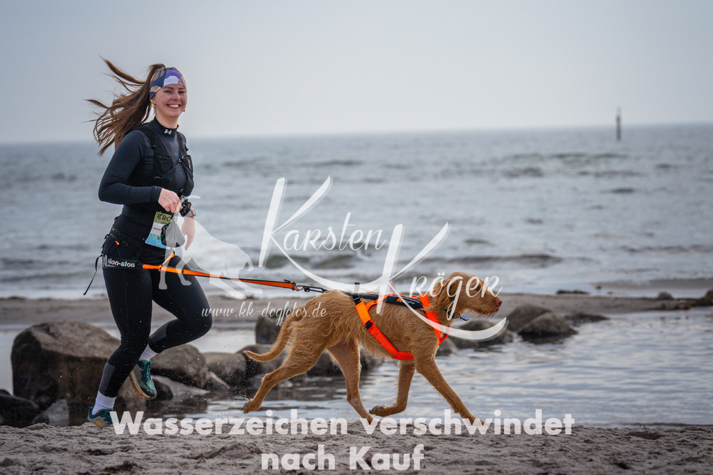 1106_ZZ97533 | kk-dogfotos