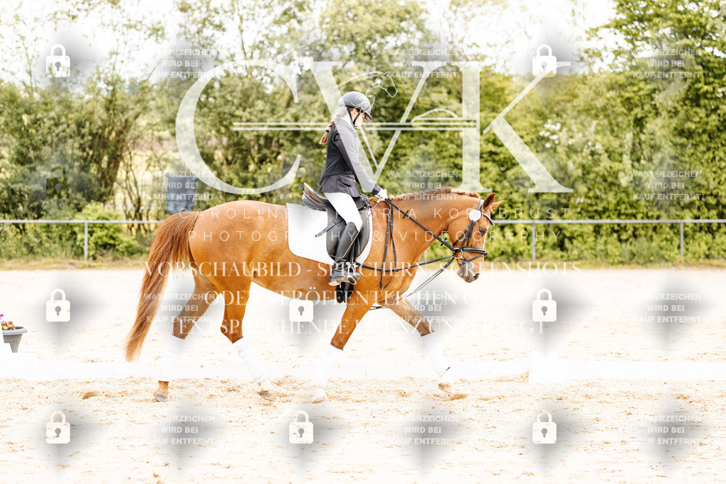 CK904245 | Turnierfotografie Pferdefotografie Trier Rheinland-Pfalz Pferdesport Reitsport Tierfotografie Sportfotografie Pferdevideo Pferdevideografie Equestrianvideography equestrianphotography  - Realisiert mit Pictrs.com