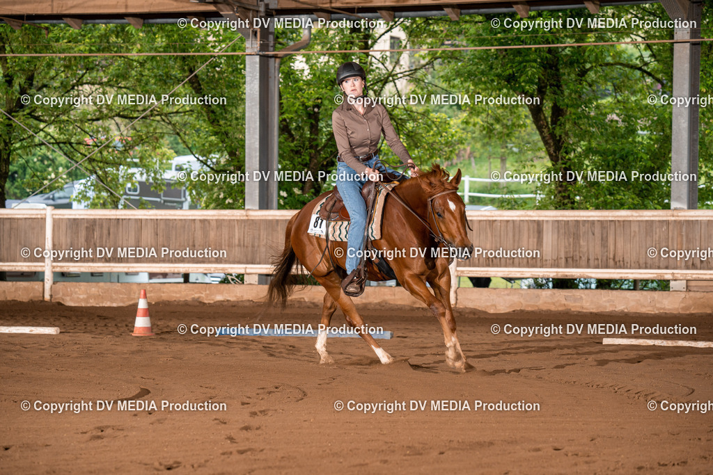 Erbach Tag 2-260 | dv-media-shop - Realisiert mit Pictrs.com