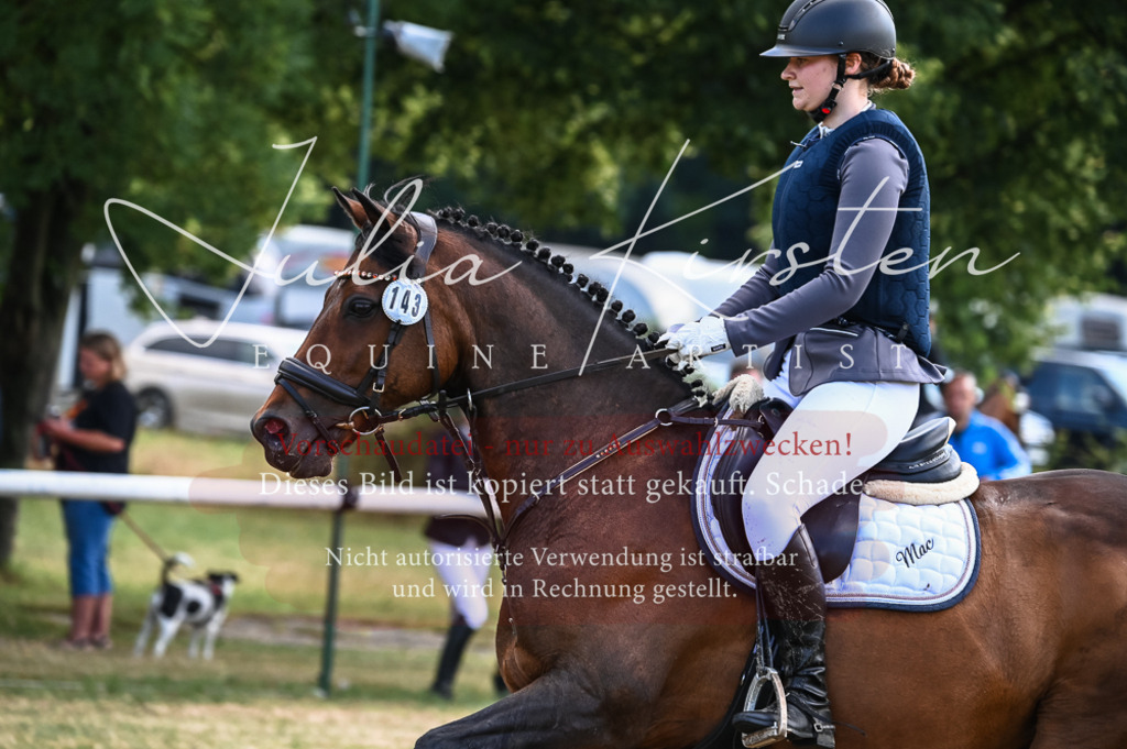 DSC_8013 | Pferde- und Turnierfotografie in Westsachsen. Pferdeportraits, Auftragszeichnungen und intuitive Kunst.