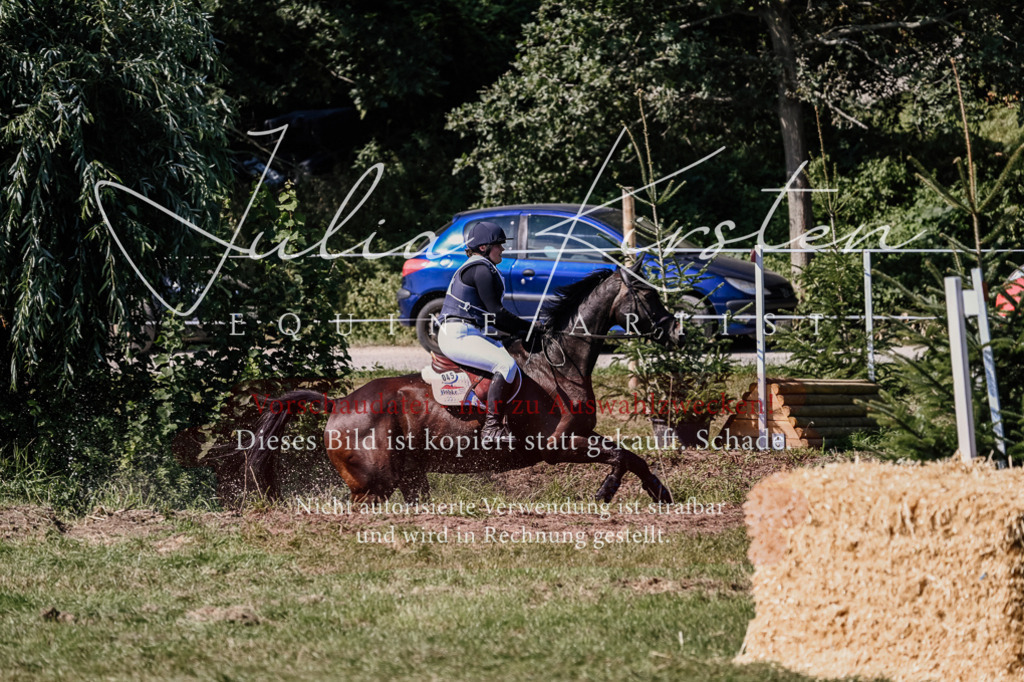 DSC_1619 | Pferde- und Turnierfotografie in Westsachsen. Pferdeportraits, Auftragszeichnungen und intuitive Kunst.