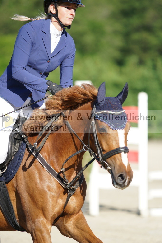 DSC05915 | equestrian-live-com