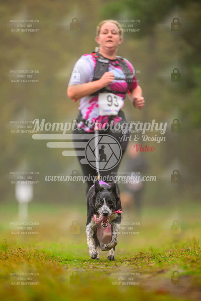 MompixPhotography_Bischwiller2025_Canicross-135 | mompixphotography