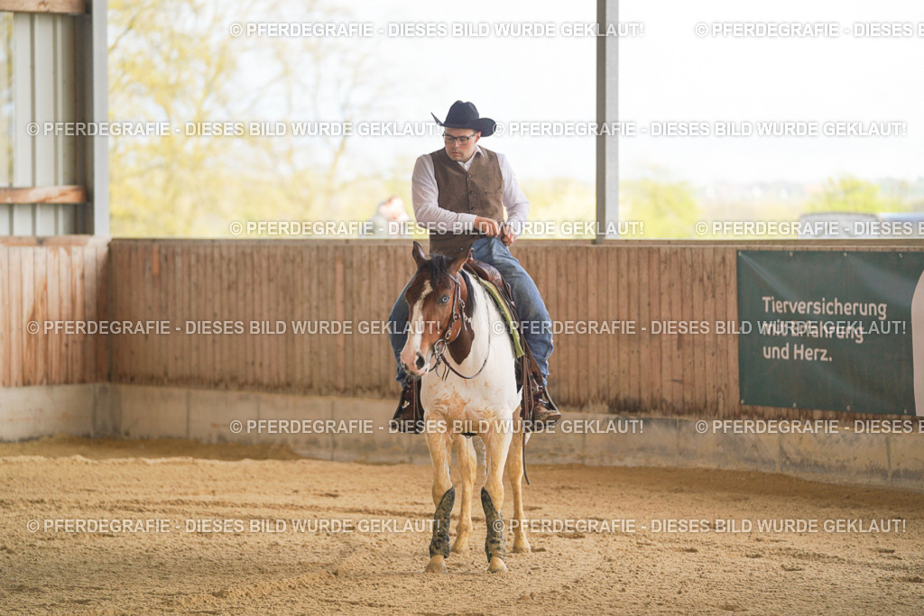 DSC06673 | Pferdegrafie