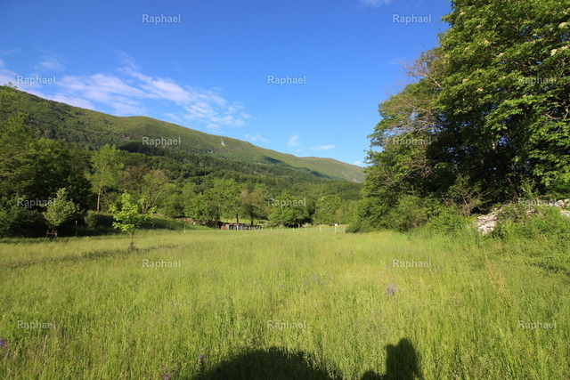 IMG_3878 | Raphael - Realisiert mit Pictrs.com