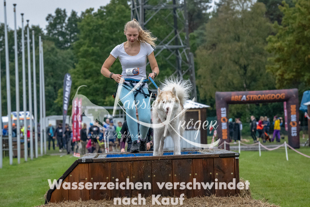 1212--3 | kk-dogfotos