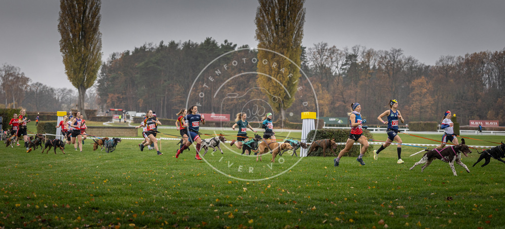 CaniXpix_DV3A8775 | Hundefotografie, Tierfotograf, Pfotenfotografie, Fotoshooting Hund, Hunde Portrait, Hundesport, Hundeportraits, Heideshooting, Hunde, Sportfotograf, Hundefotograf, Turnierhundsport, THS,  - Realisiert mit Pictrs.com