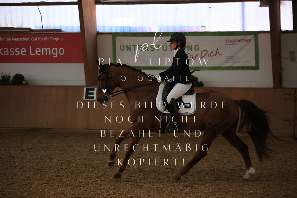 IMGT3433 | pl-fotografie