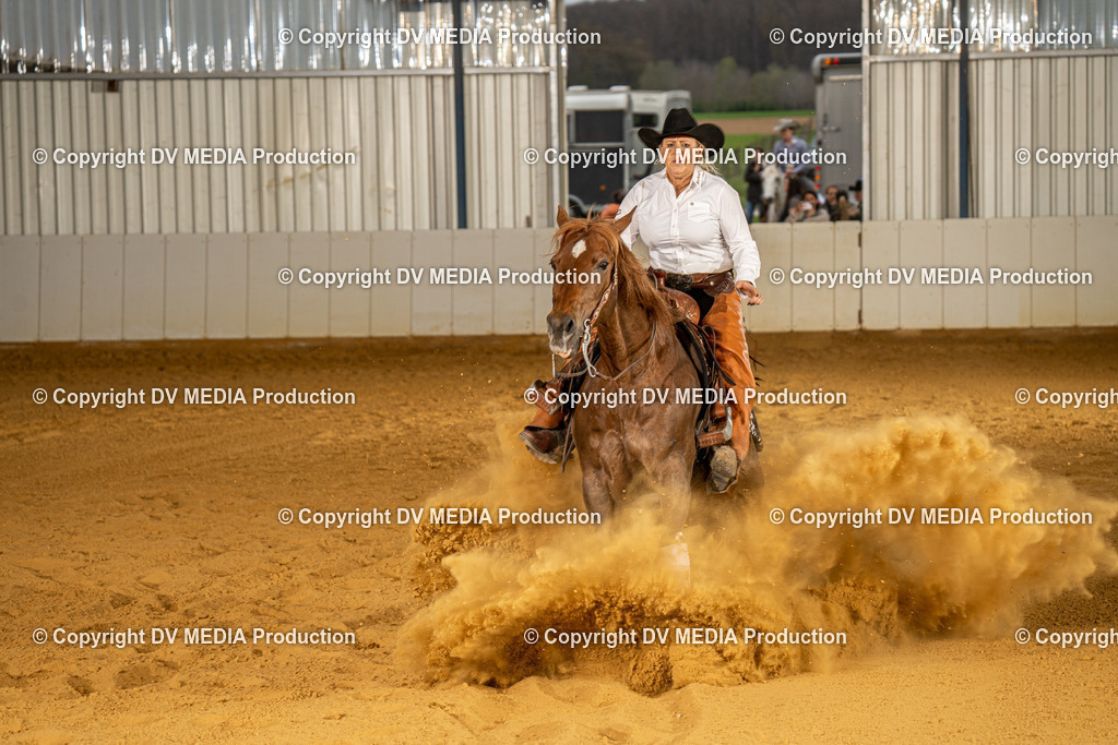 MIT00585 | dv-media-shop - Realisiert mit Pictrs.com