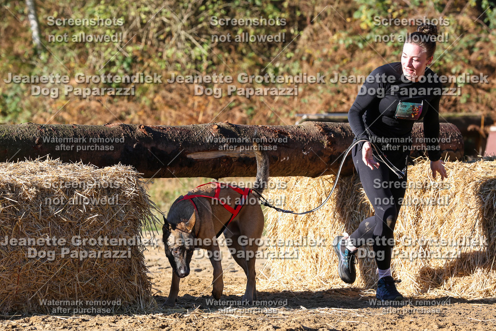 Dog Paparazzi - Strongdog 10-25-1590 | Dog Paparazzi Jeanette Grottendiek Fotografie & Videografie - Realisiert mit Pictrs.com