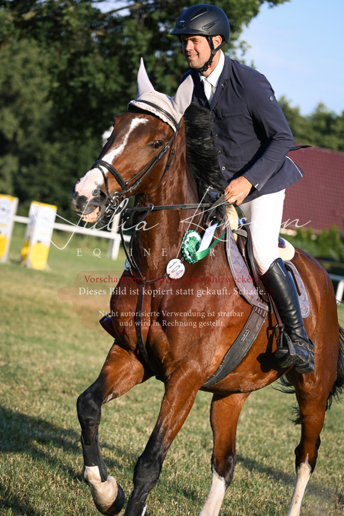 DSC_1953 | Pferde- und Turnierfotografie in Westsachsen. Pferdeportraits, Auftragszeichnungen und intuitive Kunst.
