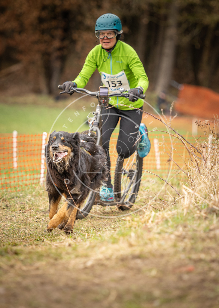 DV3A1646 | Hundefotografie, Tierfotograf, Pfotenfotografie, Fotoshooting Hund, Hunde Portrait, Hundesport, Hundeportraits, Heideshooting, Hunde, Sportfotograf, Hundefotograf, Turnierhundsport, THS,  - Realisiert mit Pictrs.com