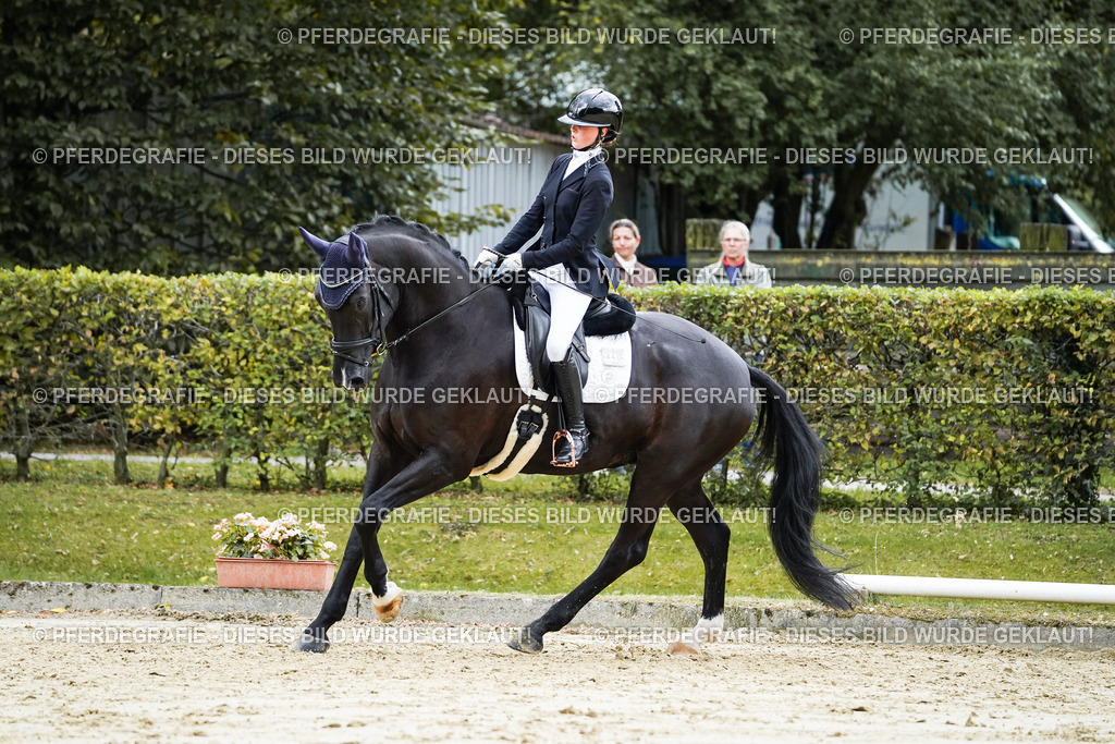 DSC06573 | Pferdegrafie