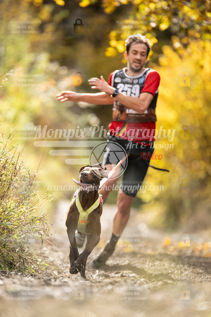 MompixPhotography_ICF_WC_2024_SA_Run_-55 | PayLife