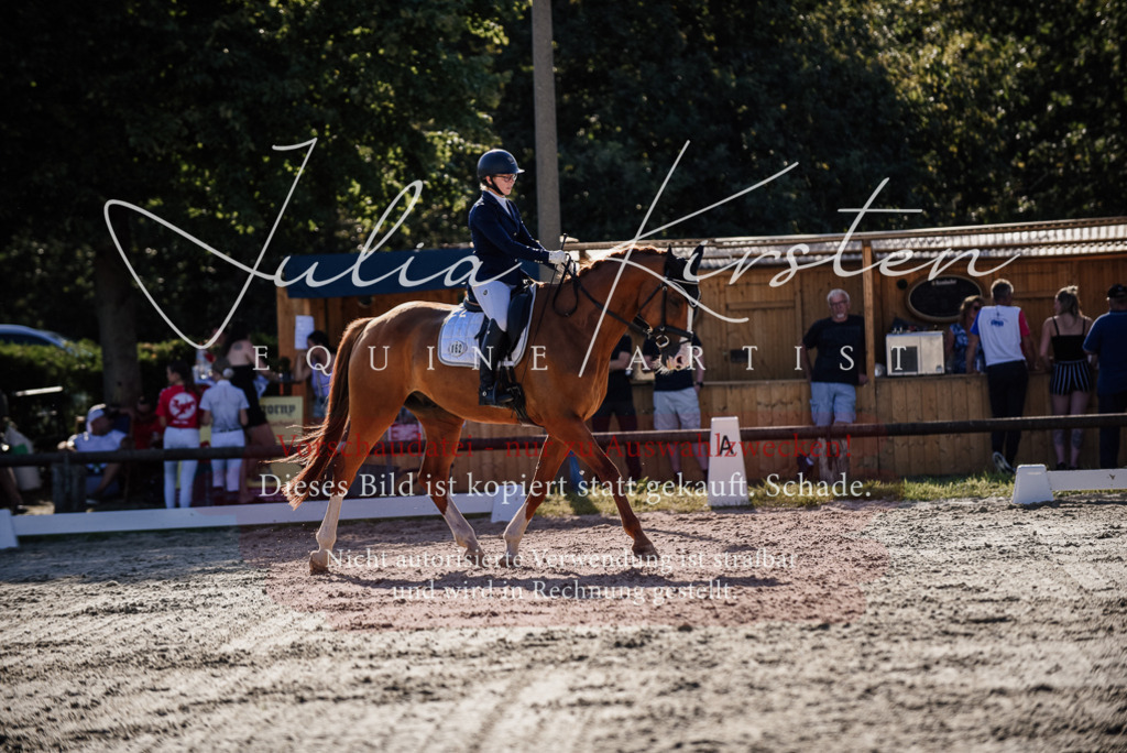 DSC_0464 | Pferde- und Turnierfotografie in Westsachsen. Pferdeportraits, Auftragszeichnungen und intuitive Kunst.