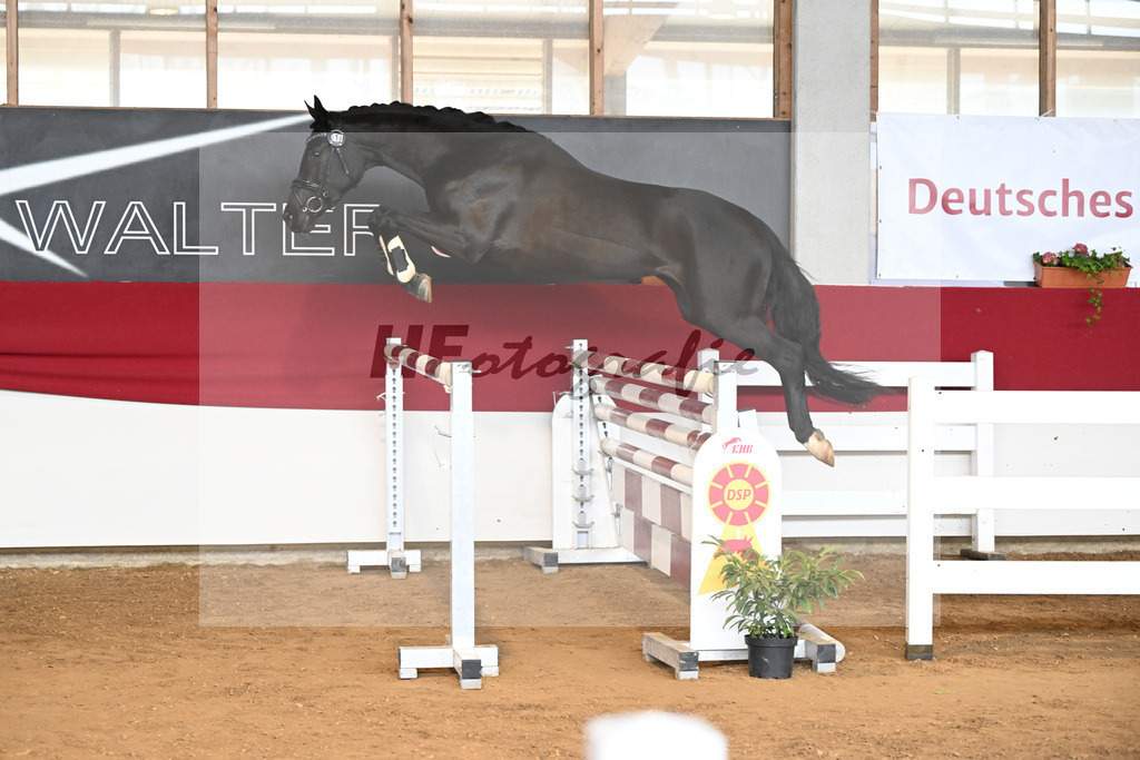 Kat-Nr. 18 Bonne Collette v. Bohemian_Faust_7251088 | hf-fotografie - Realizzato con Pictrs.com