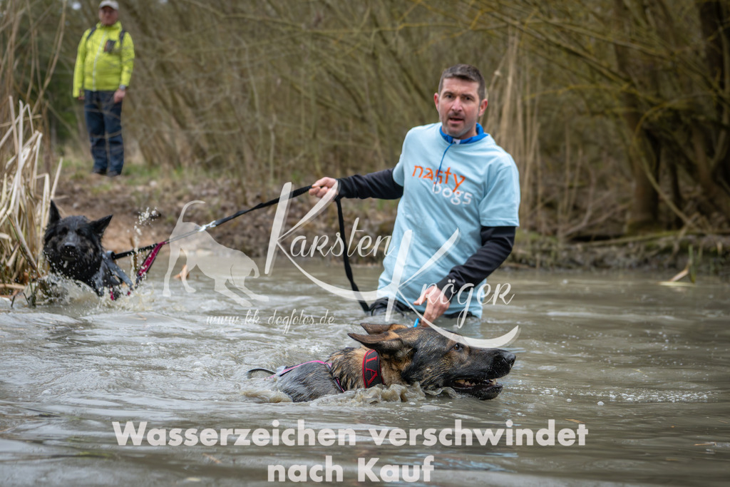 1337_ZZ91073 | kk-dogfotos